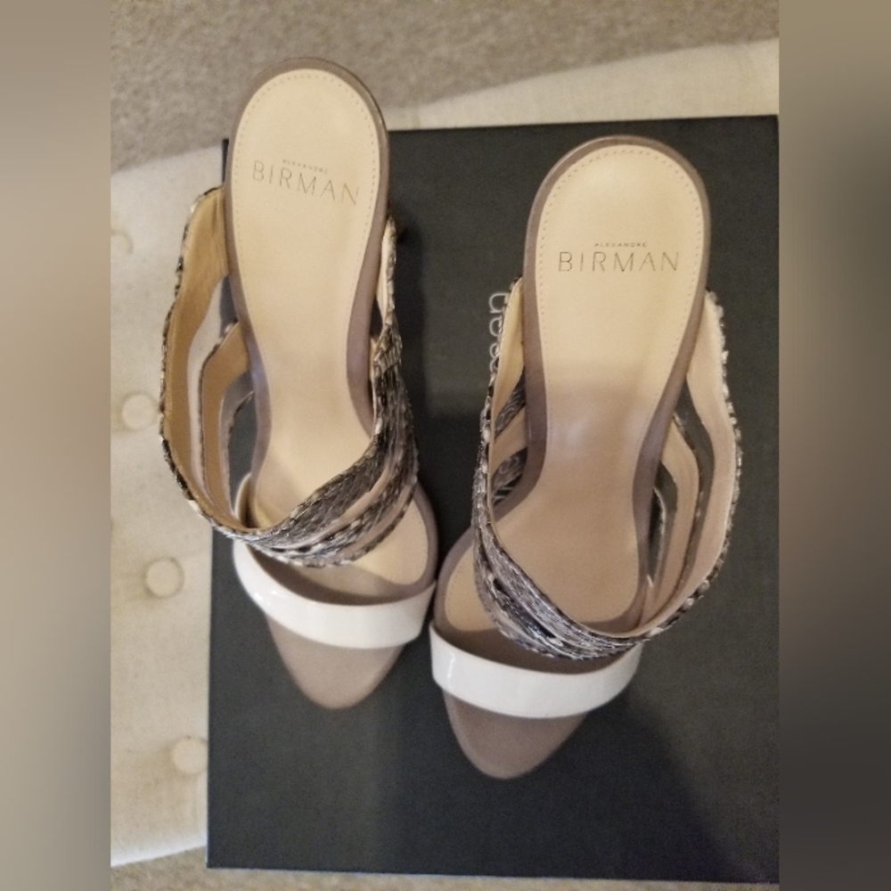 Alexandre Birman Python Mule Slide - image 5